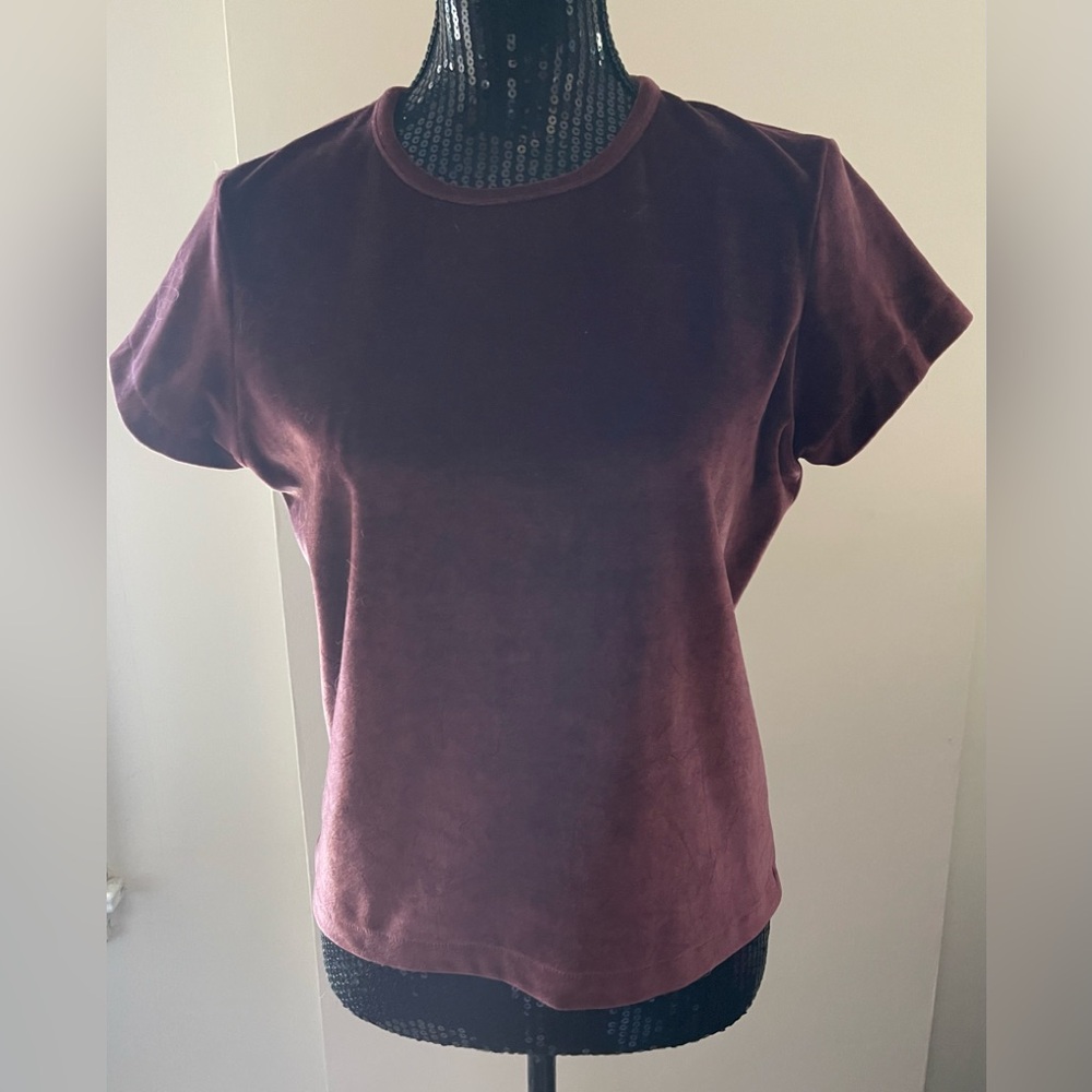Limited America Dusty Rose Pink Velour Top